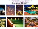candle light banana trunk