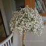 baby breath bouquet 
