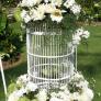 bird cage standing flower close up 