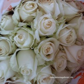 White roses -Avalanche 